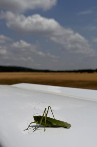 003 -  Zou jij de sprong naar zweefvliegen durven maken -  Michiel De Bock