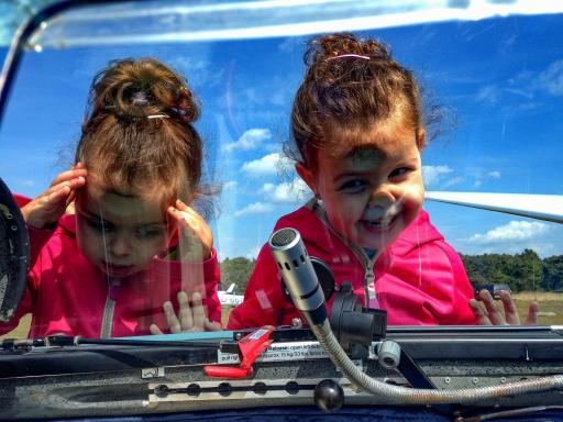 68  Curious twins, eager to fly